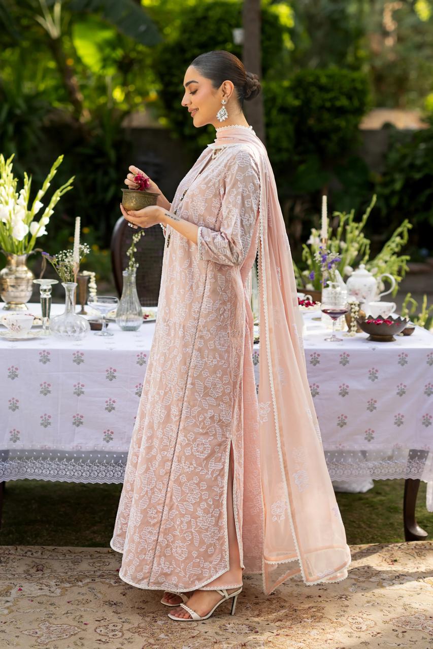 GUL E NOOR 01